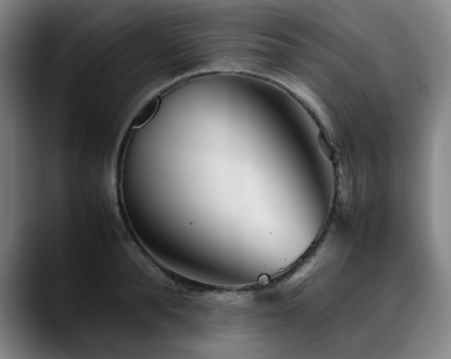 X0000090470896200707131255