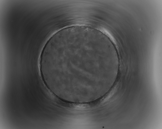 X0000090470899200707131255