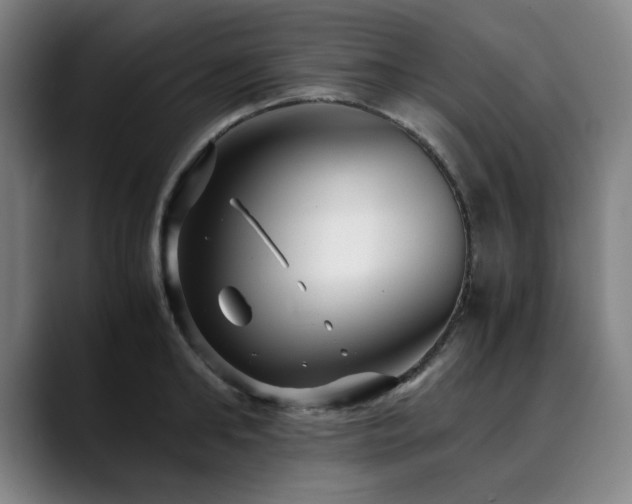 X0000090470902200707131255