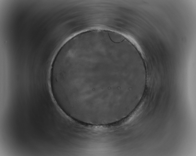 X0000090470903200707131255