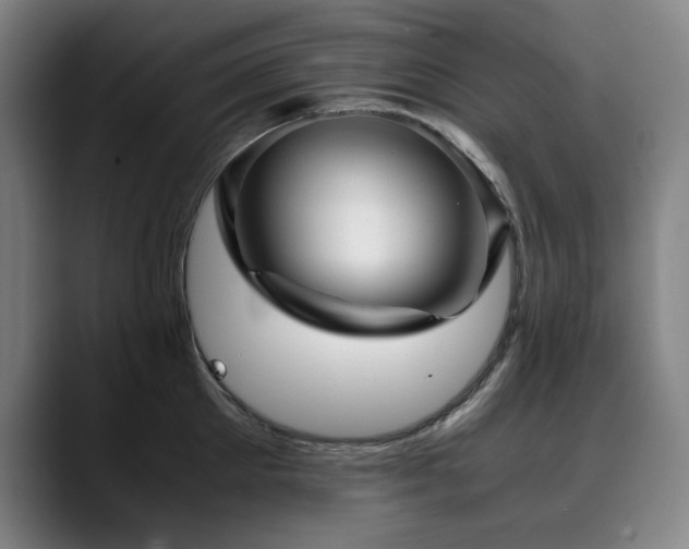 X0000090470905200707131255