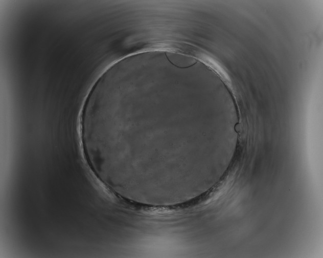X0000090470907200707131255