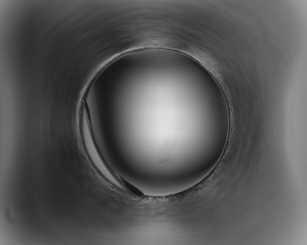 X0000090470912200707131255