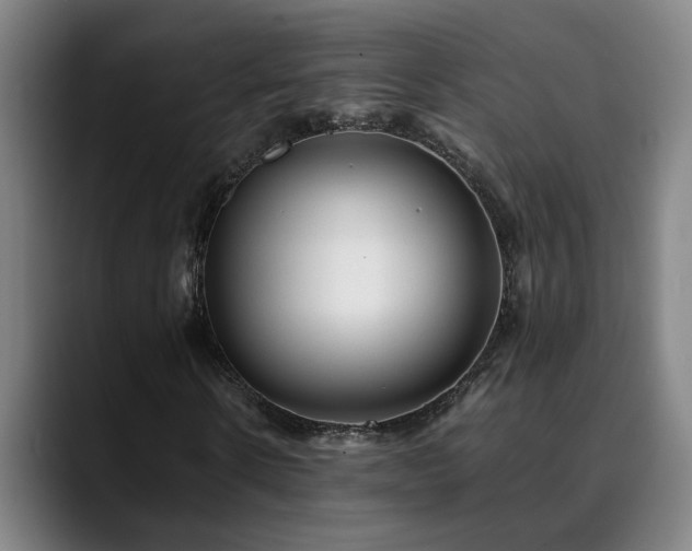 X0000090470914200707131255