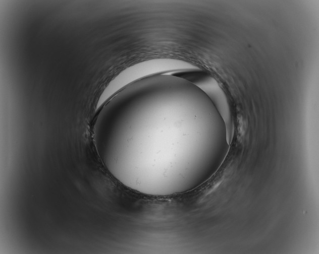 X0000090470916200707131255