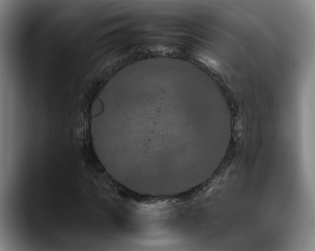 X0000090470917200707131255