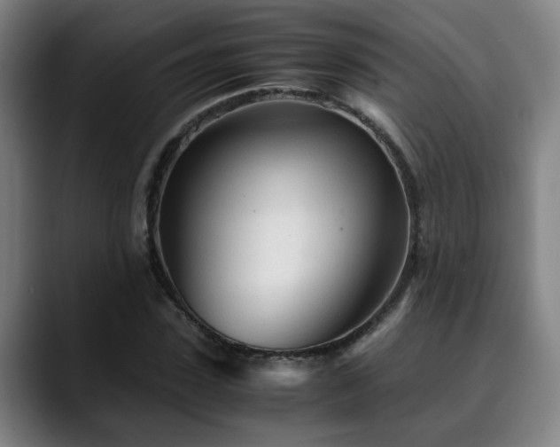 X0000090470923200707131255