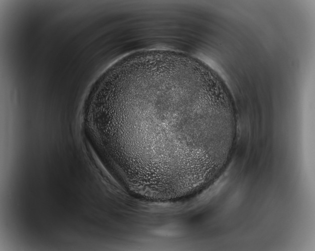 X0000090470925200707131255
