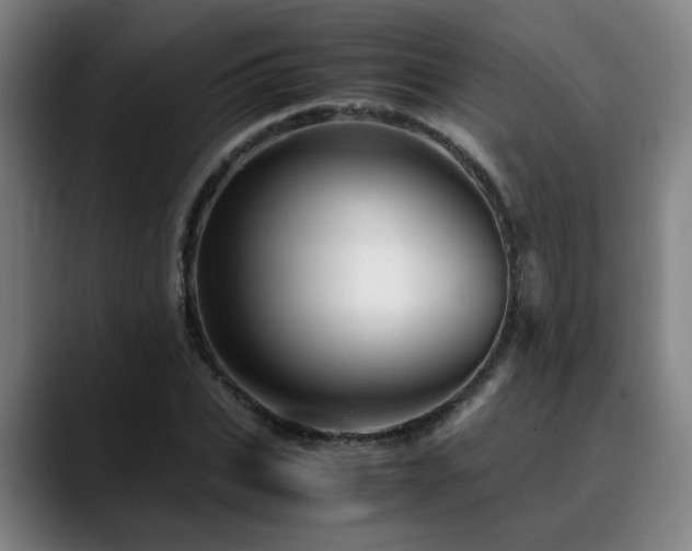 X0000090470927200707131255