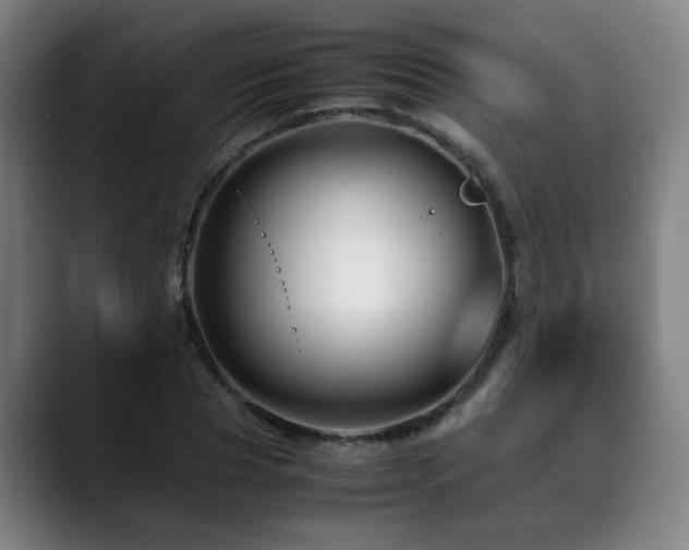 X0000090470929200707131255