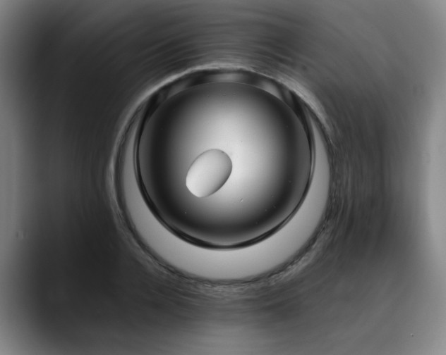 X0000090470936200707131255