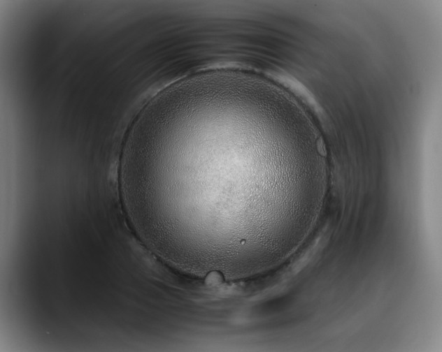 X0000090470937200707131255