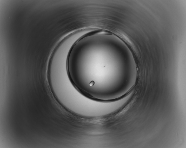 X0000090470940200707131255
