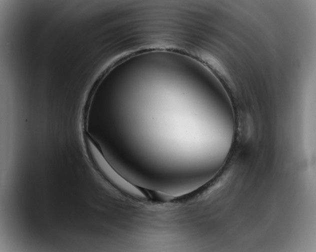 X0000090470942200707131255