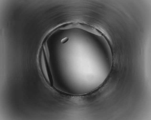 X0000090470944200707131255