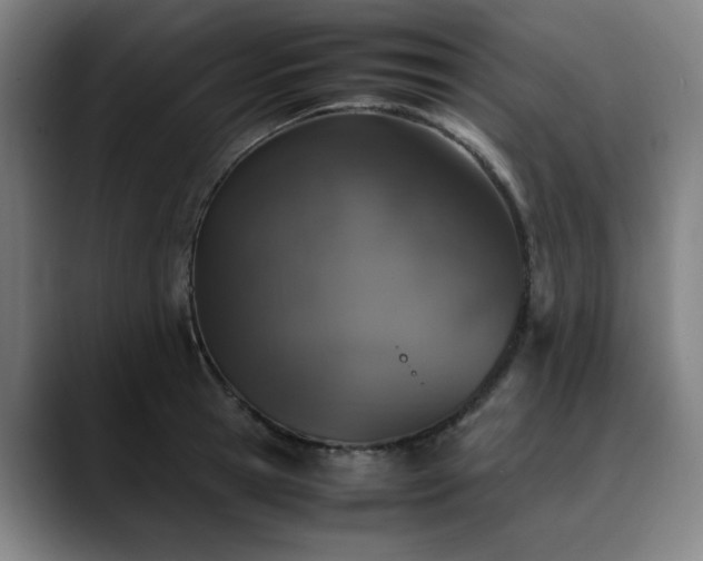X0000090470945200707131255