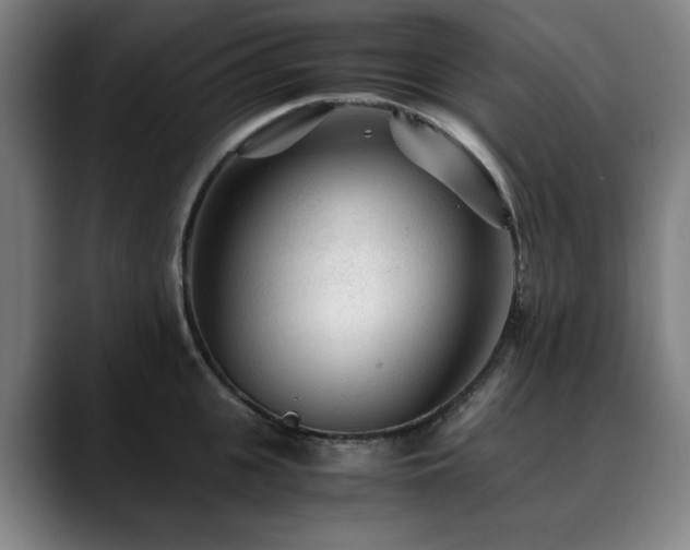 X0000090470951200707131255