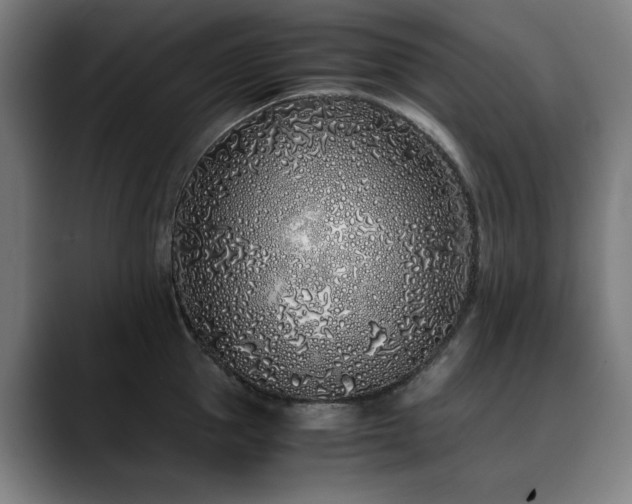 X0000090470953200707131255