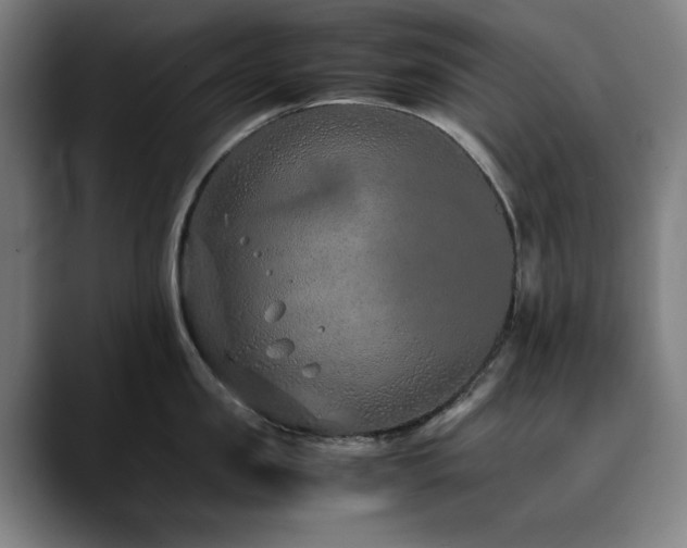 X0000090470957200707131255