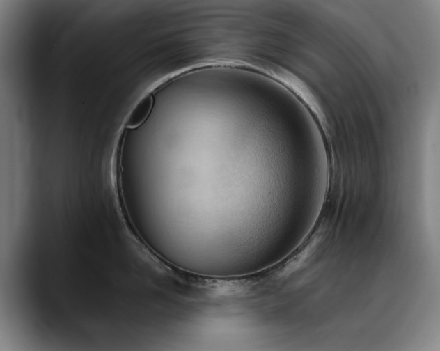 X0000090470958200707131255