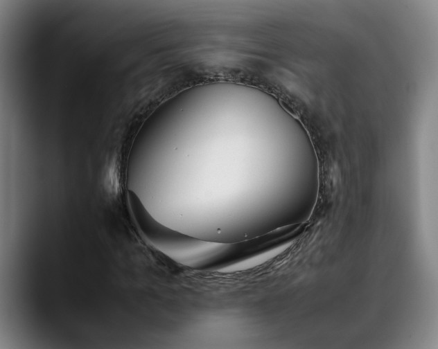X0000090470965200707131255