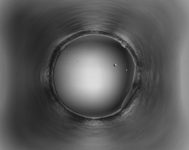 X0000090470971200707131255