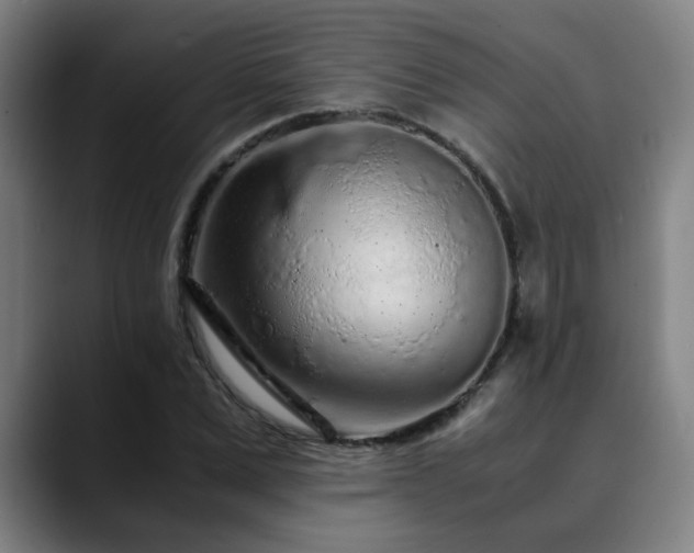X0000090470975200707131255