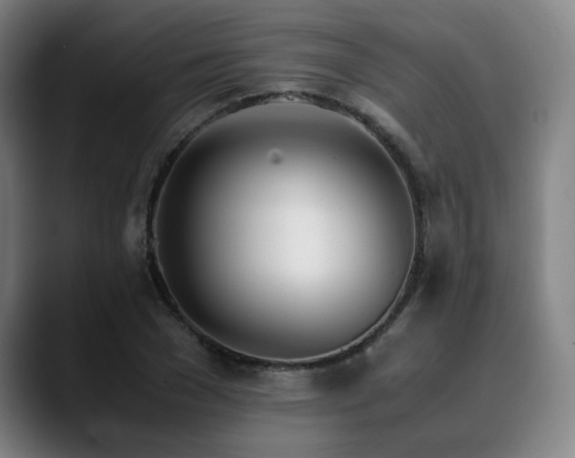 X0000090470977200707131255