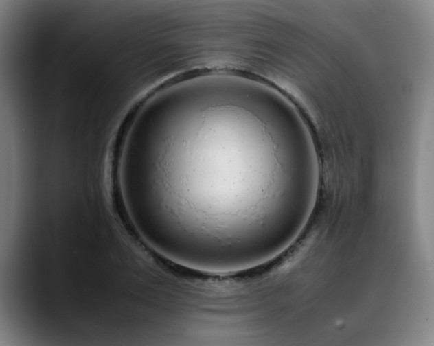 X0000090470983200707131254