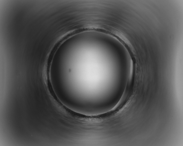 X0000090470984200707131254