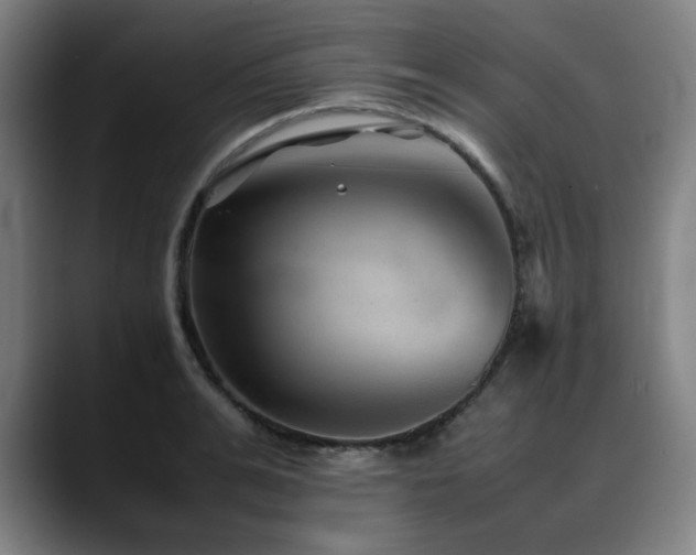 X0000090470991200707131254