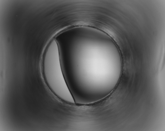 X0000090470992200707131254
