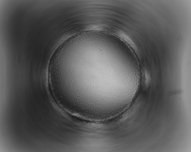 X0000090470994200707131254