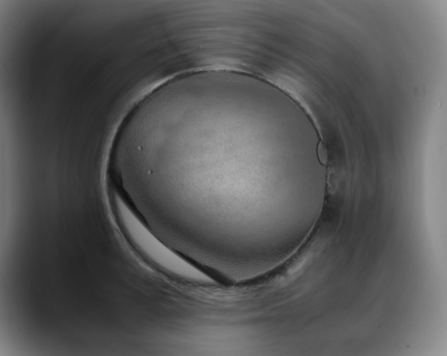 X0000090470995200707131254