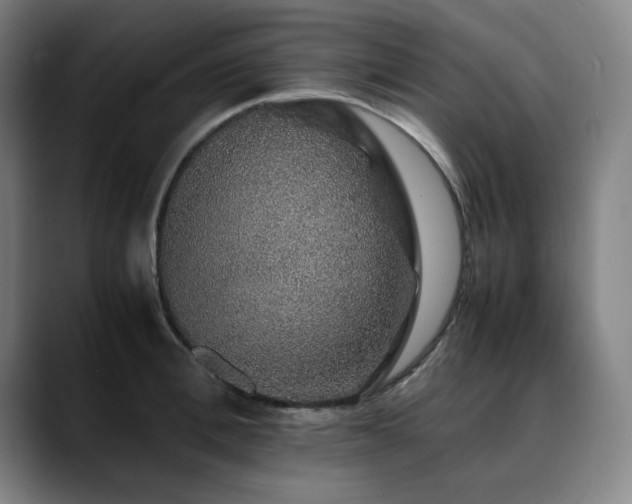 X0000090470996200707131254
