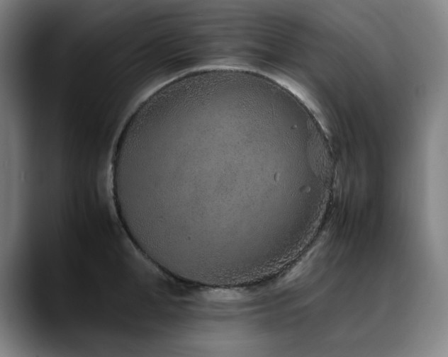 X0000090470998200707131254