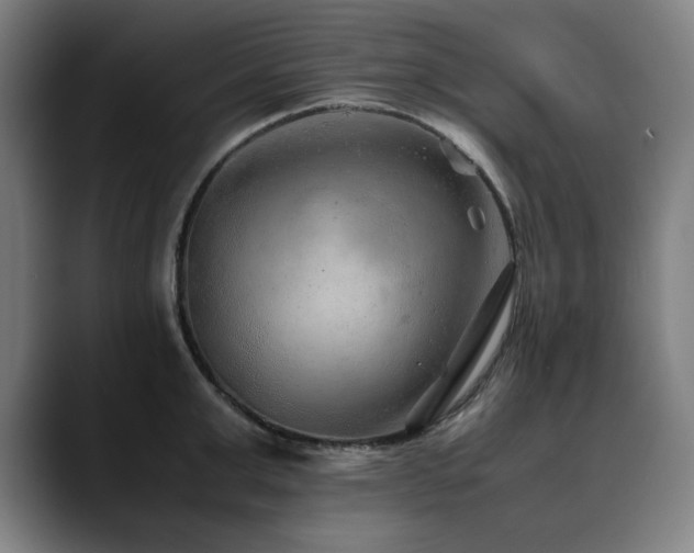 X0000090470999200707131254