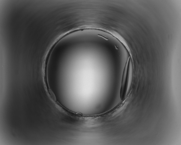 X0000090471005200707131254