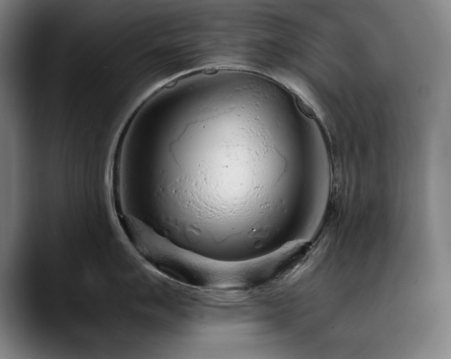 X0000090471007200707131254