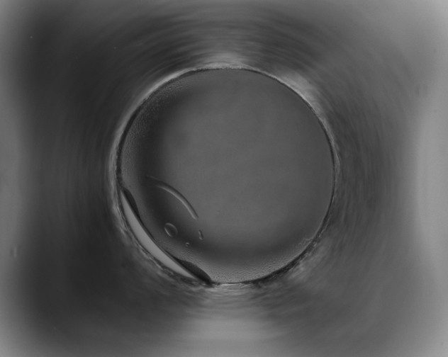 X0000090471008200707131254