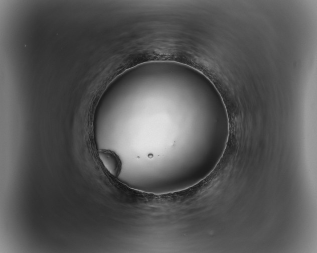 X0000090471009200707131254