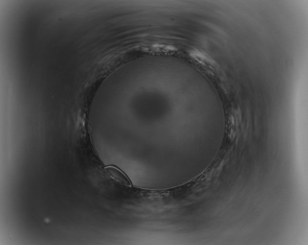 X0000090471013200707131254