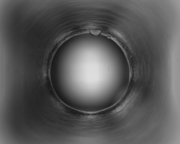 X0000090471017200707131254