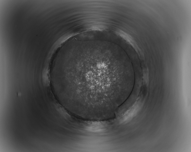 X0000090471018200707131254