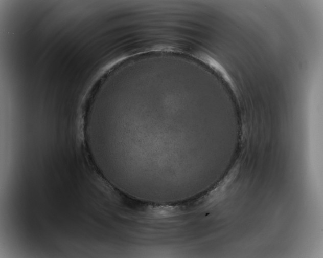 X0000090471019200707131254