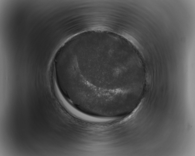 X0000090471022200707131254