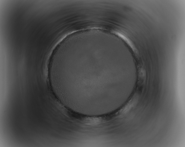 X0000090471023200707131254