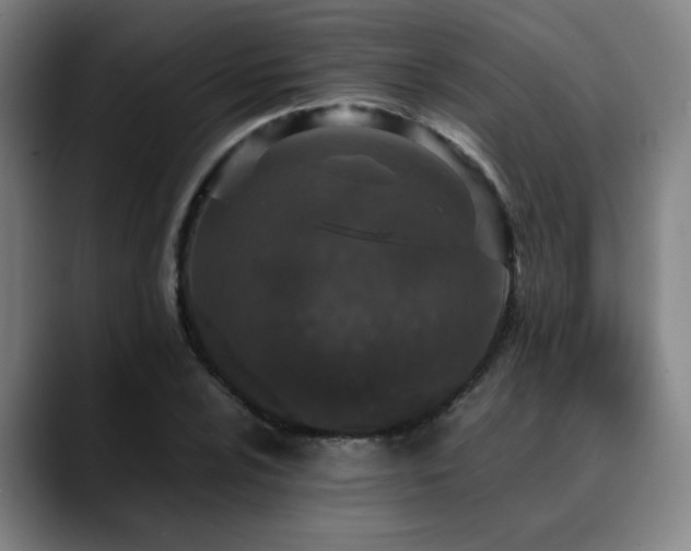X0000090471024200707131254
