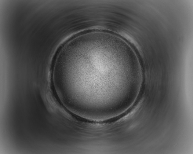 X0000090471029200707131254