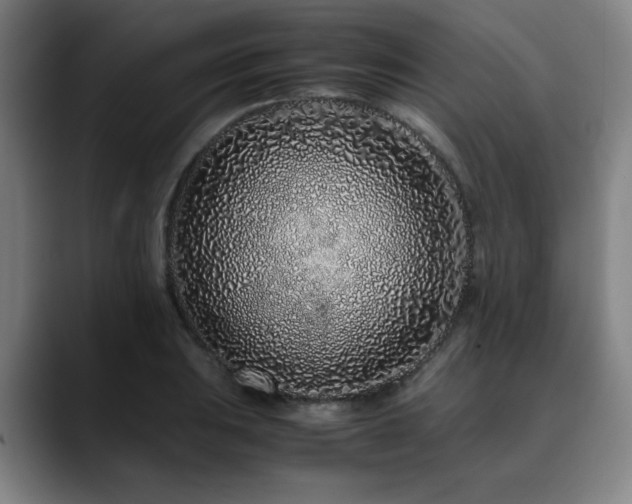 X0000090471031200707131254